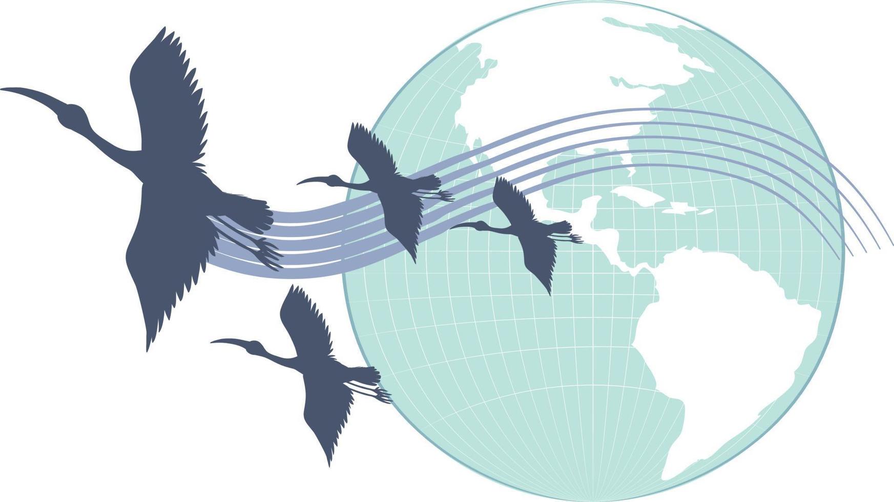silhouette cicogna uccelli volante con terra pianeta vettore
