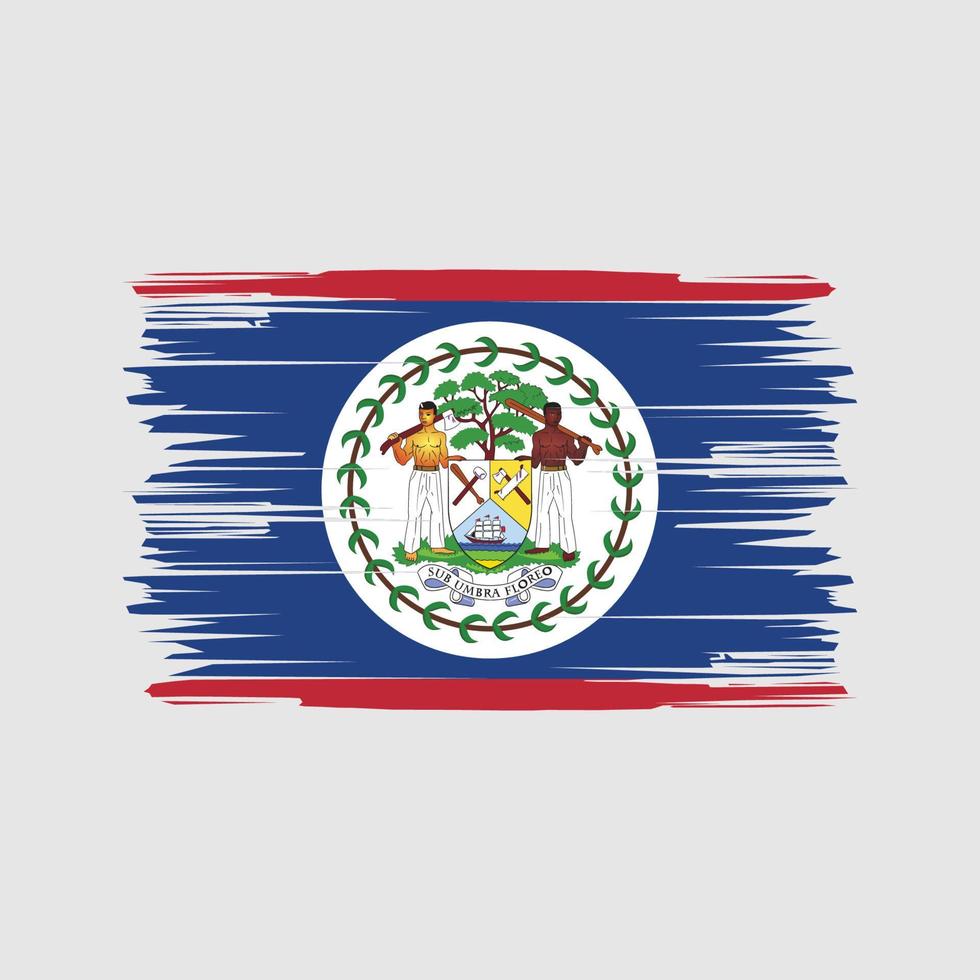 Belize flag pennellate. bandiera nazionale vettore