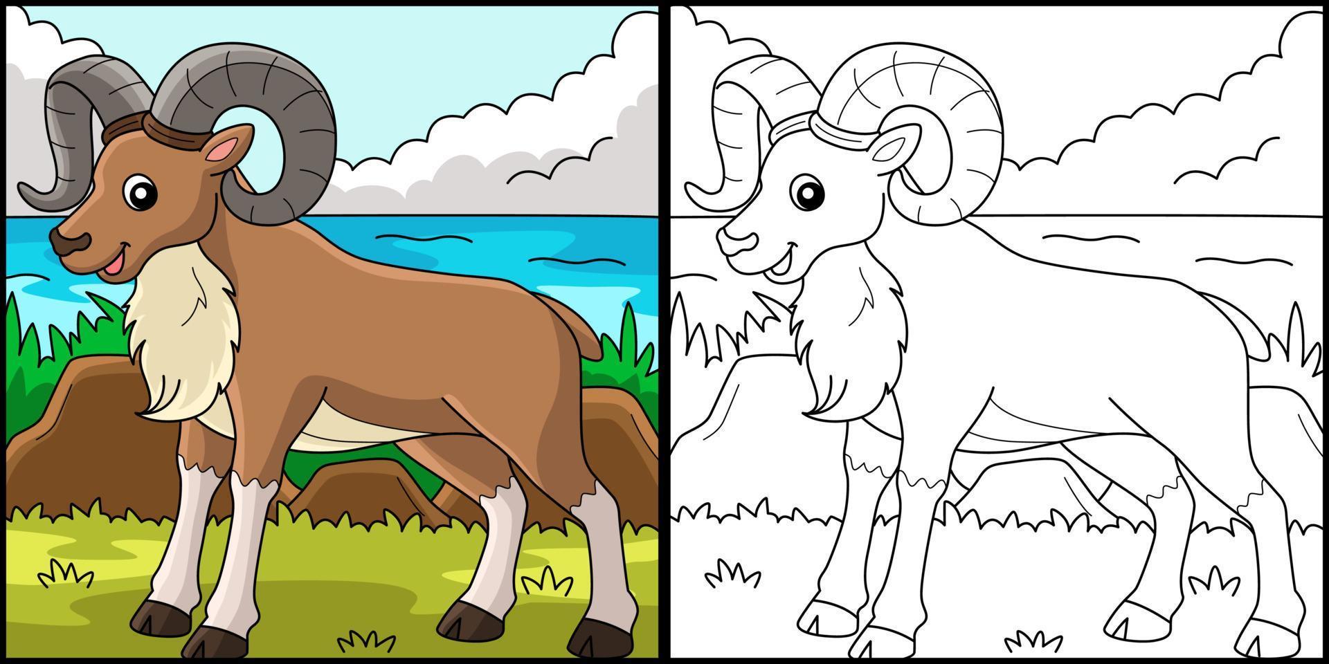 urial animale colorazione pagina colorato illustrazione vettore