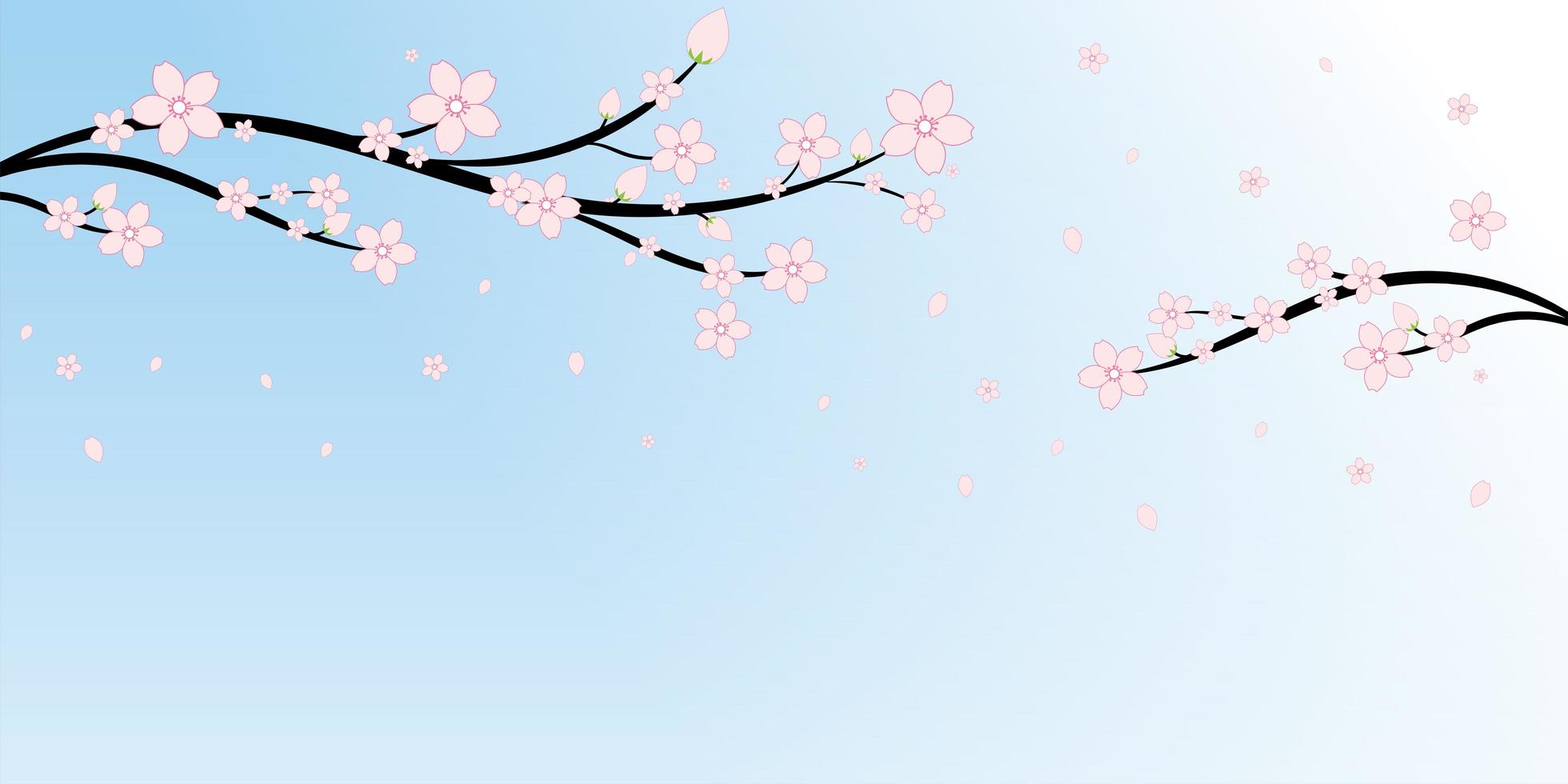 fiori di ciliegio giapponese e sfondo di rami vettore