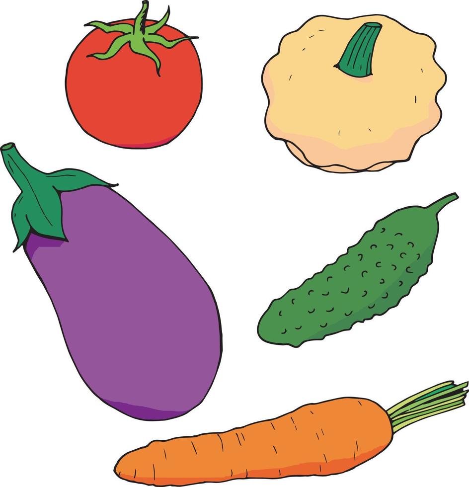 impostato di colorato pomodoro, melanzana, schiacciare, cetriolo, carota. imballare di fresco salutare verdure. collezione di cibo elementi. vettore