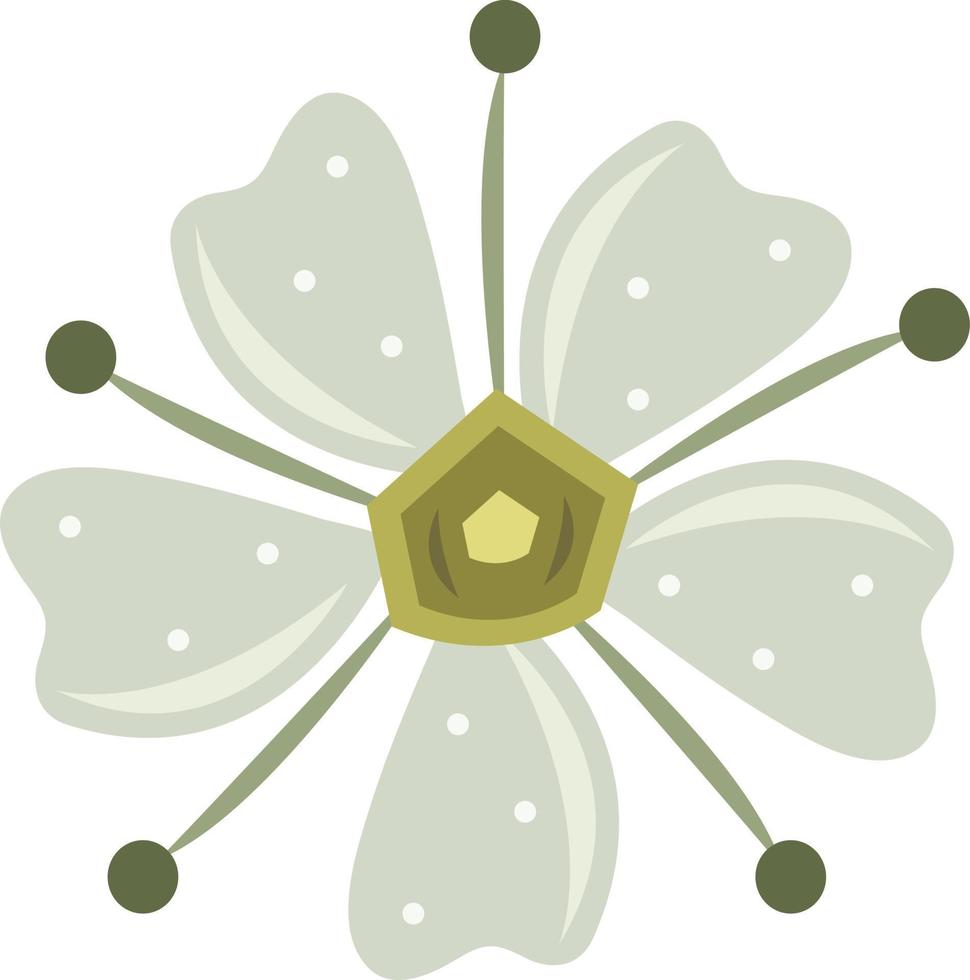 alyssum fiore vettore illustrazione per grafico design e decorativo elemento