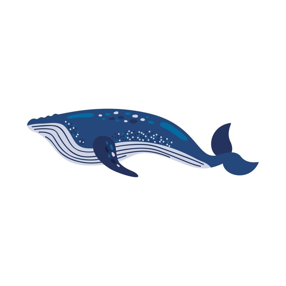 blu balena vita marina vettore
