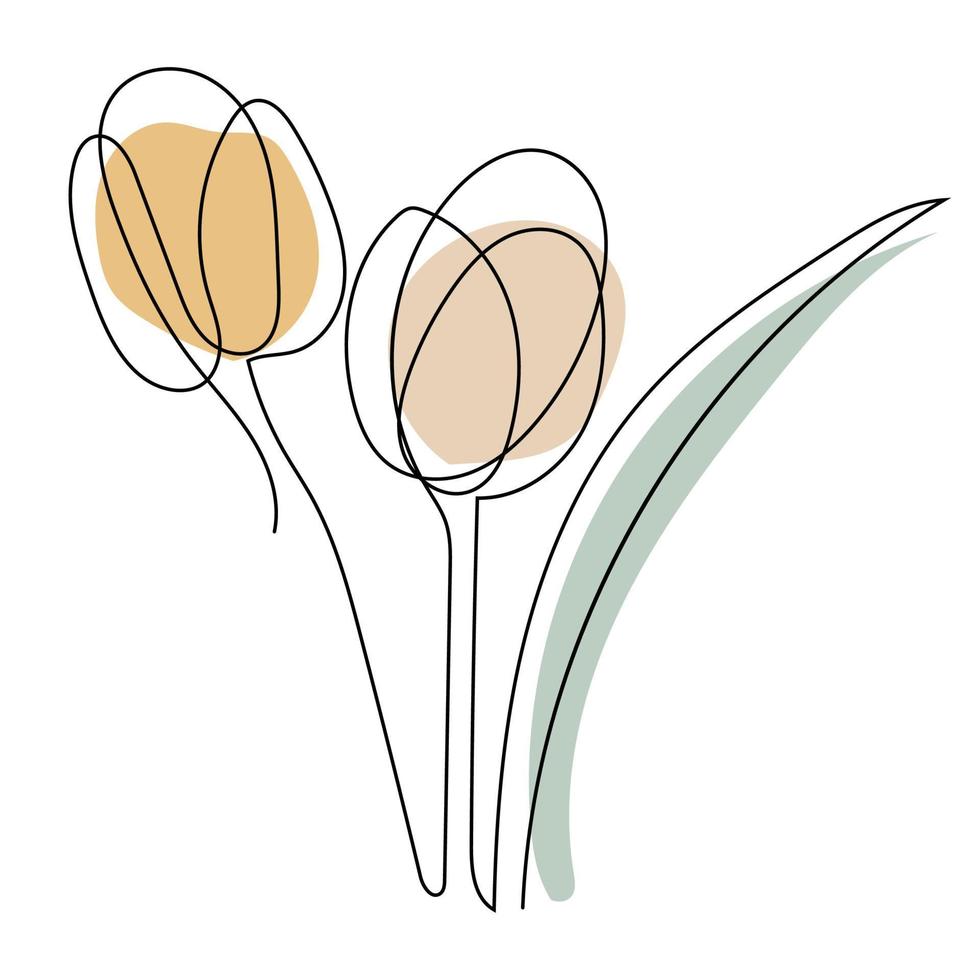 tulipano fiore linea arte. contorno disegno. minimalismo arte. vettore