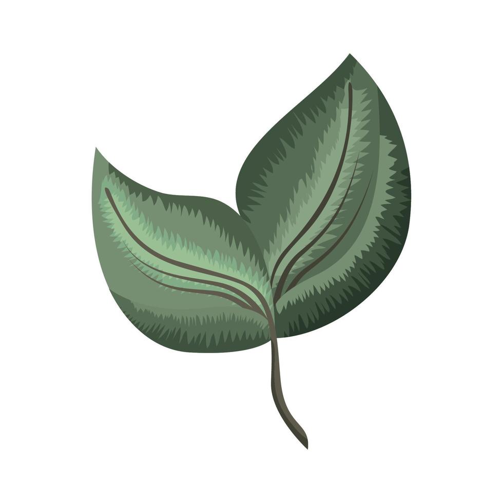 Due foglie pianta natura vettore