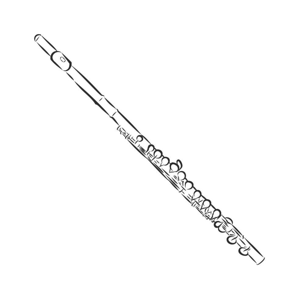 schizzo di vettore di flauto