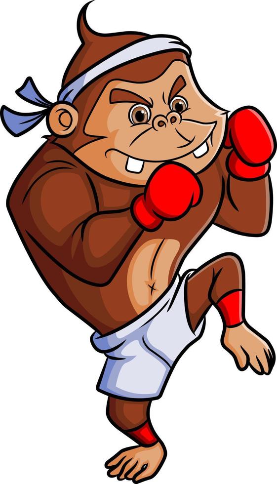 il scimpanzé come il professionale boxe giocatore vettore