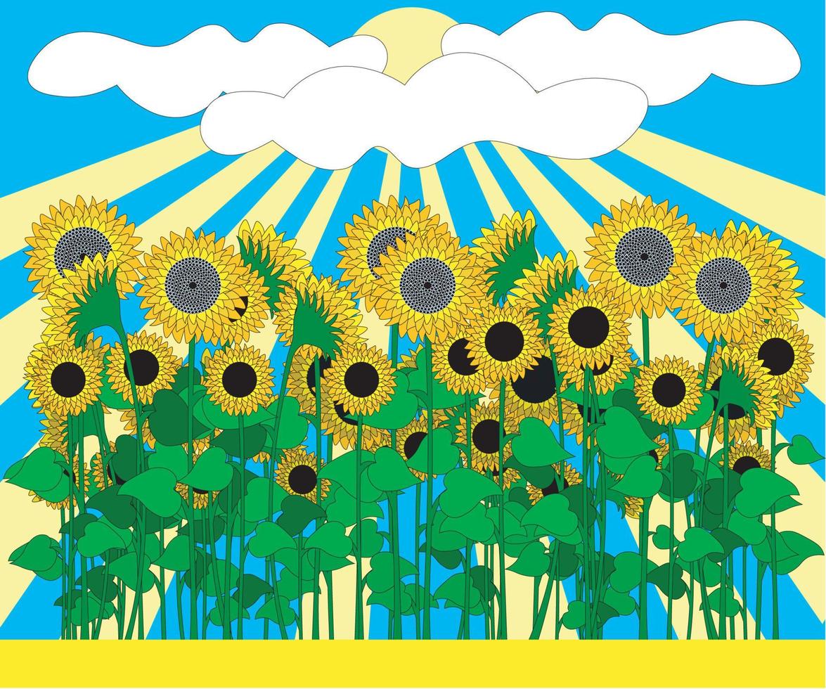 un' campo di fioritura girasoli e un' tranquillo, calmo estate cielo e sole vettore