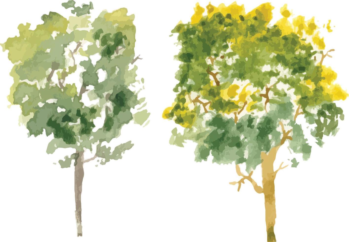 illustrazione dell'acquerello dell'albero disegnato a mano di vettore su priorità bassa bianca.