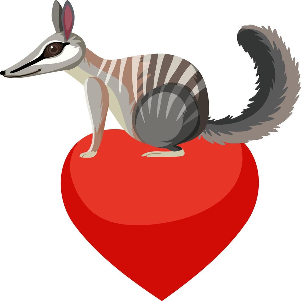 numbat su cuore isolato vettore