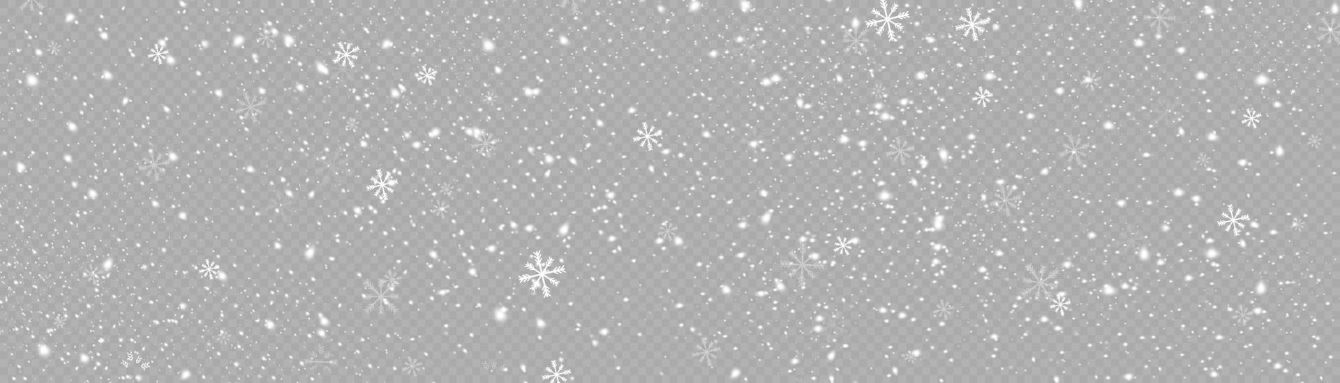 neve e vento. vettore pesante nevicata, i fiocchi di neve nel vario forme e le forme. molti bianca freddo fiocchi elementi. bianca i fiocchi di neve siamo volante nel il aria. neve sfondo.