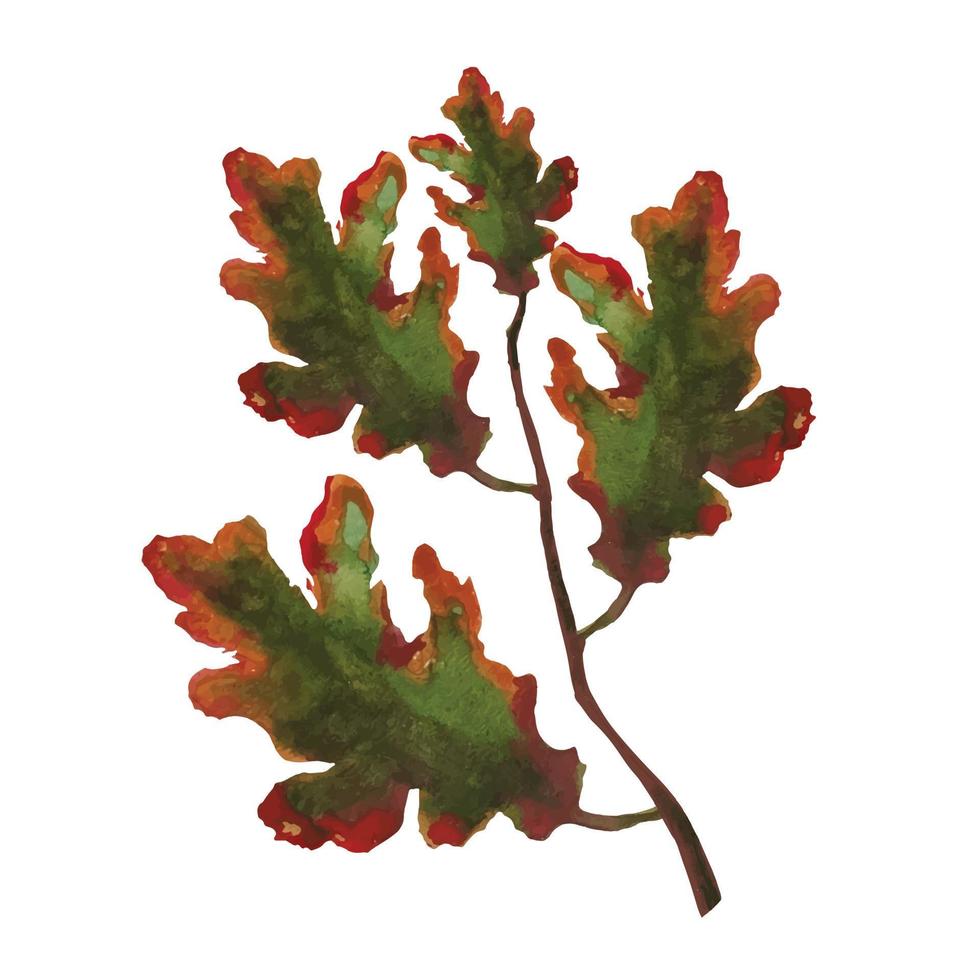 asciutto quercia le foglie su un' ramo illustrazione vettore