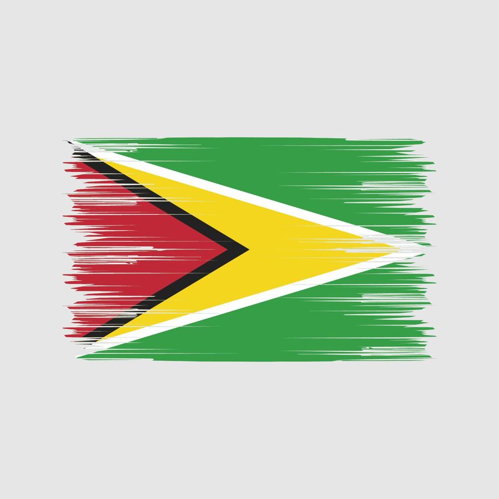 pennello bandiera della Guyana. bandiera nazionale vettore