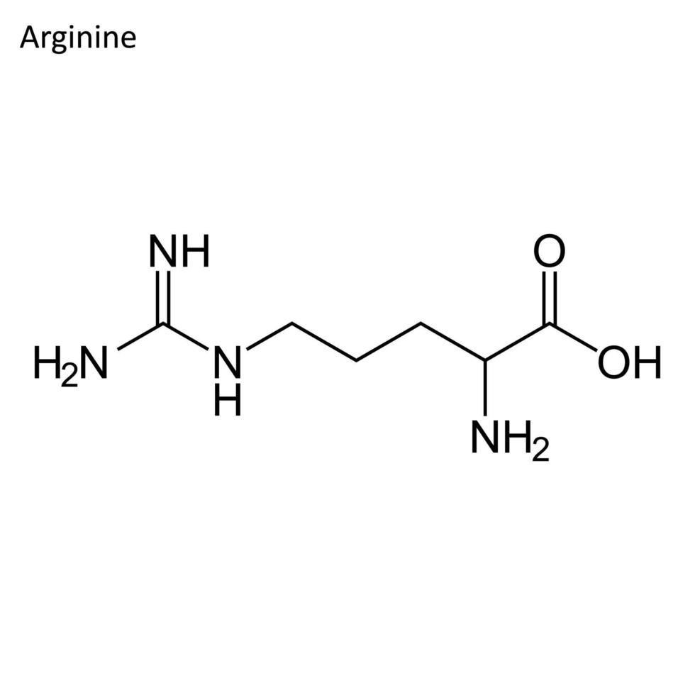 scheletrico formula di argenina vettore