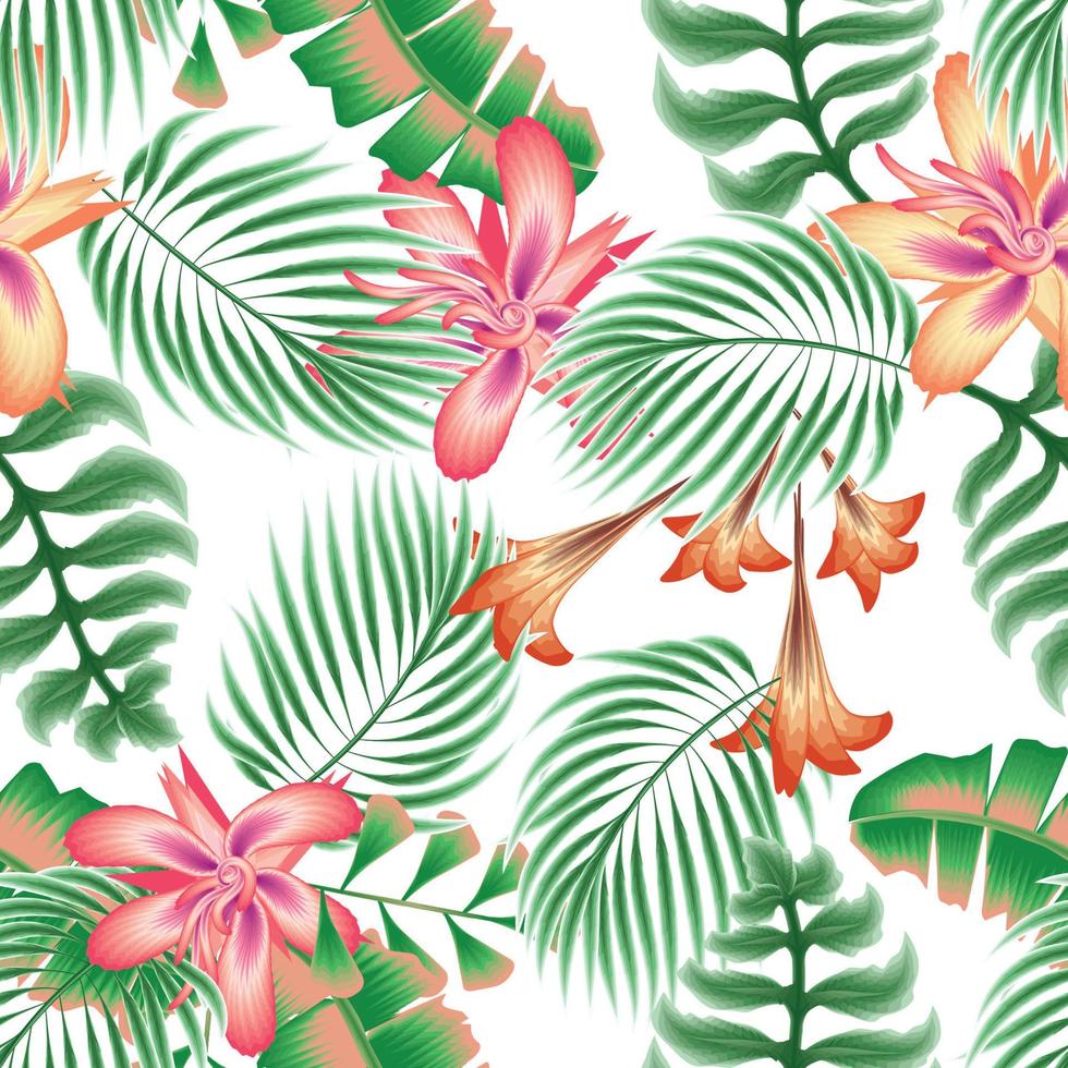 colorato le foglie senza soluzione di continuità tropicale modello alla moda con astratto fiori, Monstera palma le foglie impianti e Banana foglia su bianca sfondo. vettore design Stampa. floreale sfondo. esotico estate