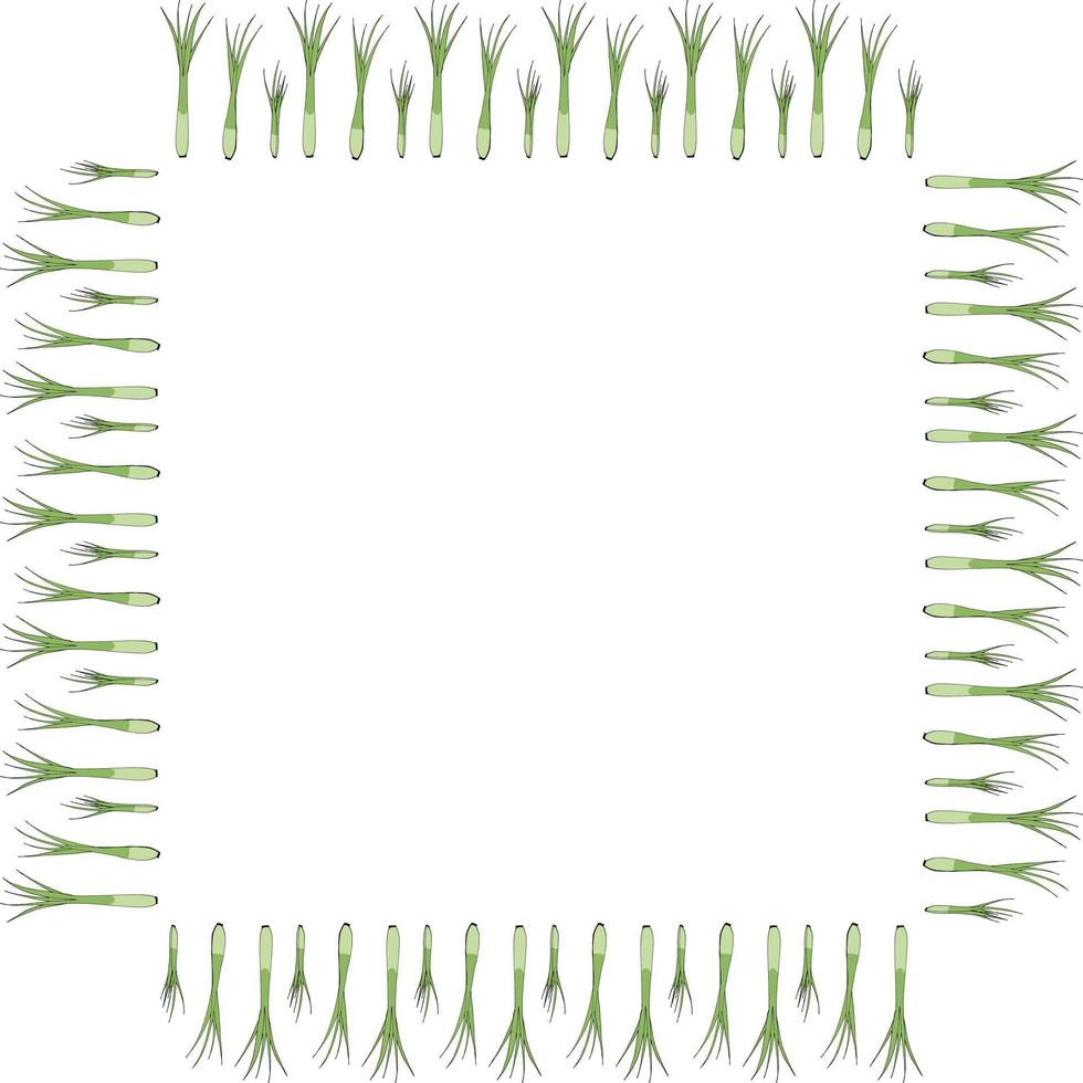 piazza telaio con verticale verde cipolla su bianca sfondo. vettore Immagine.