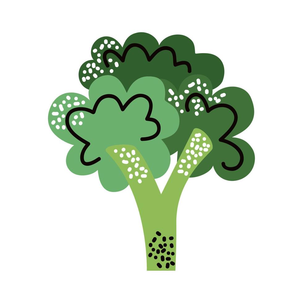 broccoli verdura salutare cibo vettore