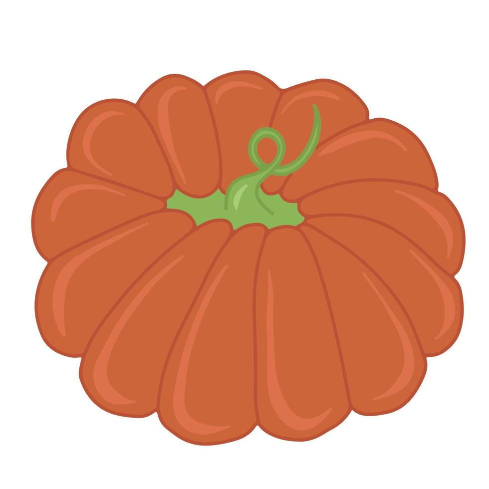 di stagione autunno arancia zucca piatto vettore isolato illustrazione