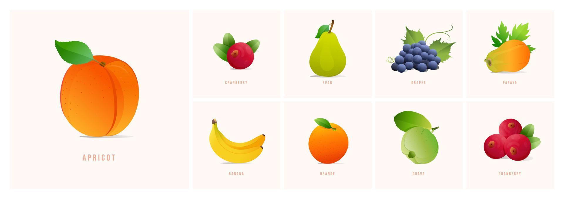 impostato di frutta, moderno stile vettore illustrazioni. albicocca, mirtillo, Banana, uva papaia, Pera, guaiava, arancia eccetera.