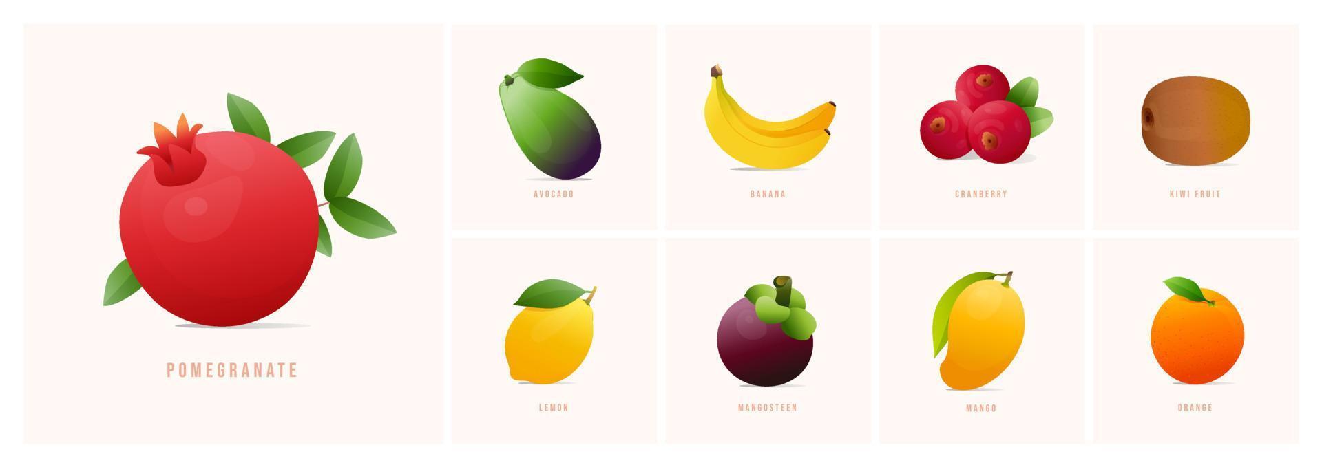 impostato di frutta, moderno stile vettore illustrazioni. Melograno, avocado, Banana, mirtillo, kiwi, Limone, mangostano, Mango, arancia eccetera.