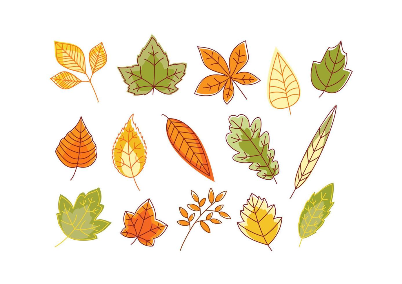 autunnale colorato isolato le foglie vettore