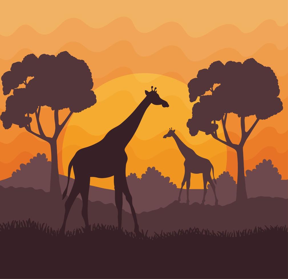 africano savana con giraffe vettore