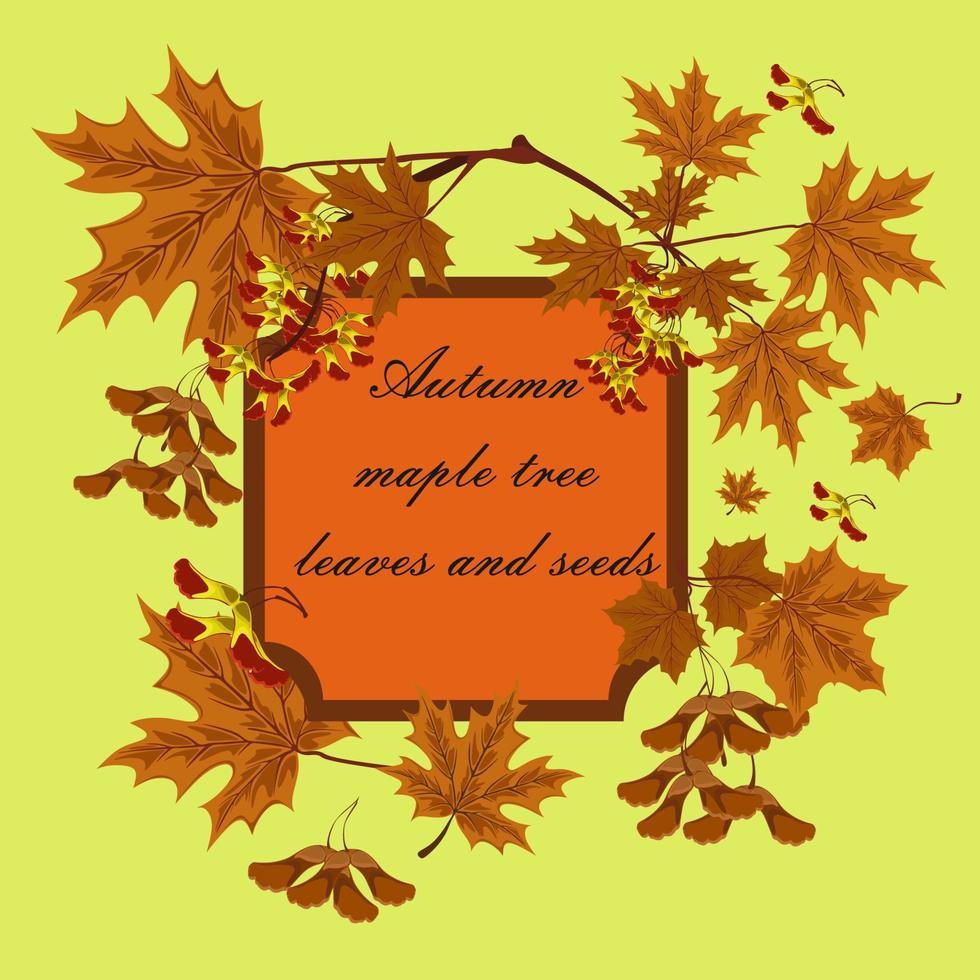 ramo, semi e le foglie di acero. autunno acero le foglie impostare. concetto di autunno telaio o sfondo con acero le foglie. vettore