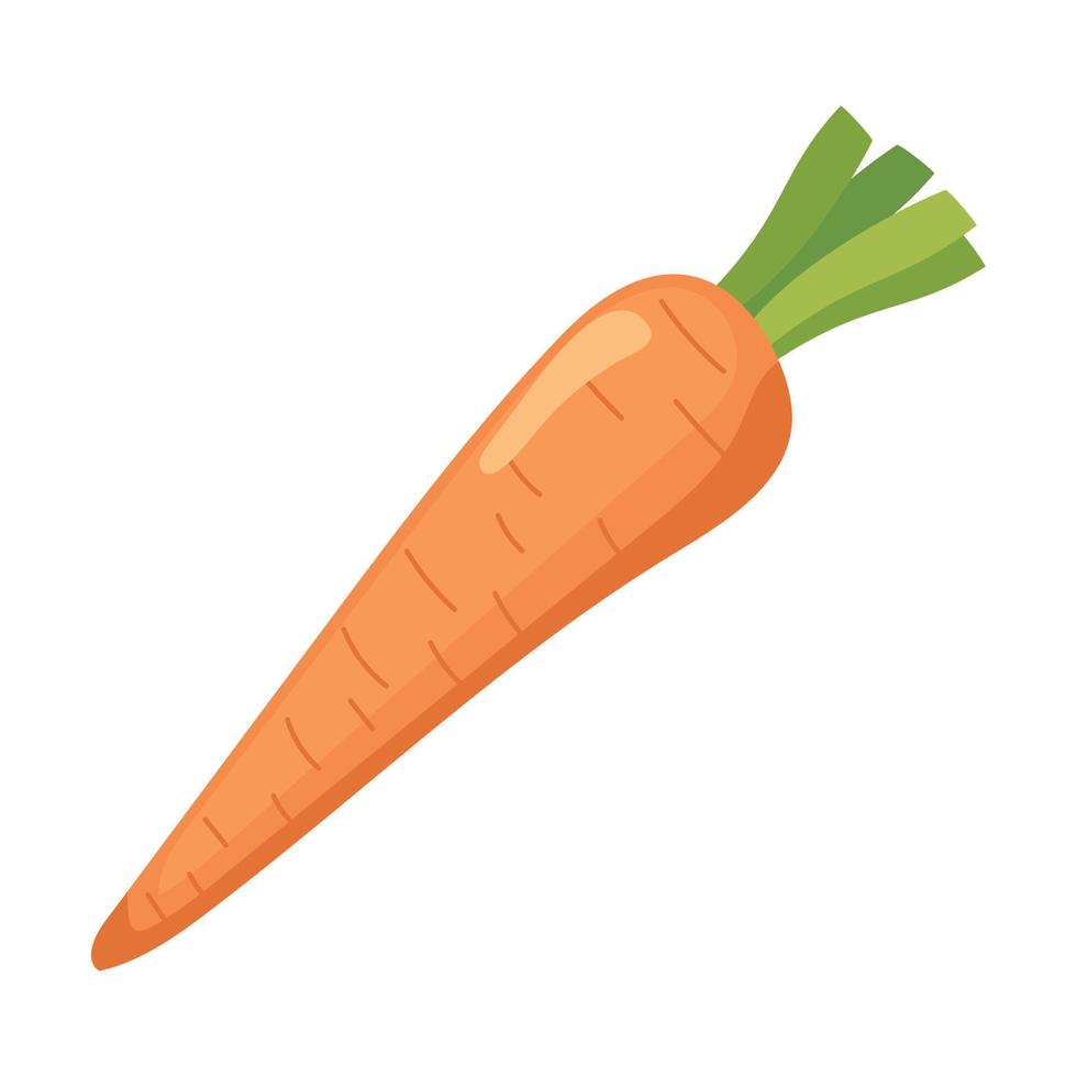verdura fresca di carota vettore