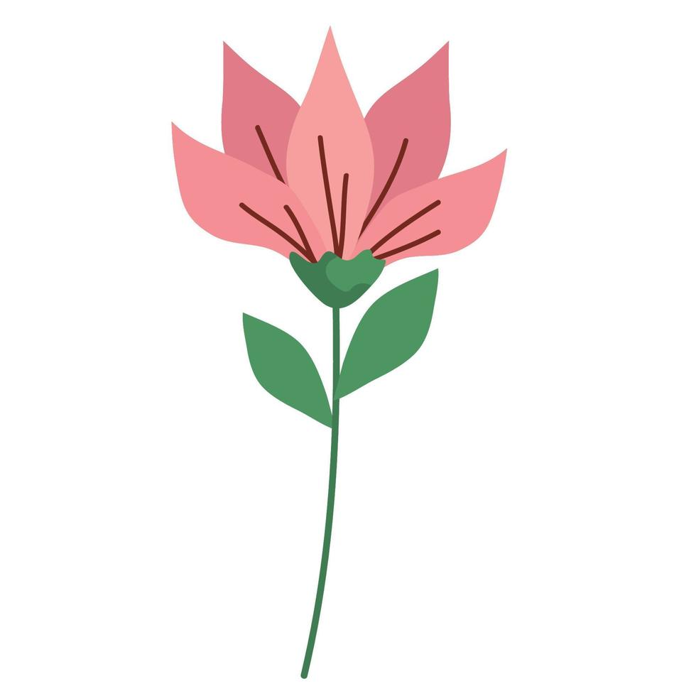 fiore rosa rosa vettore