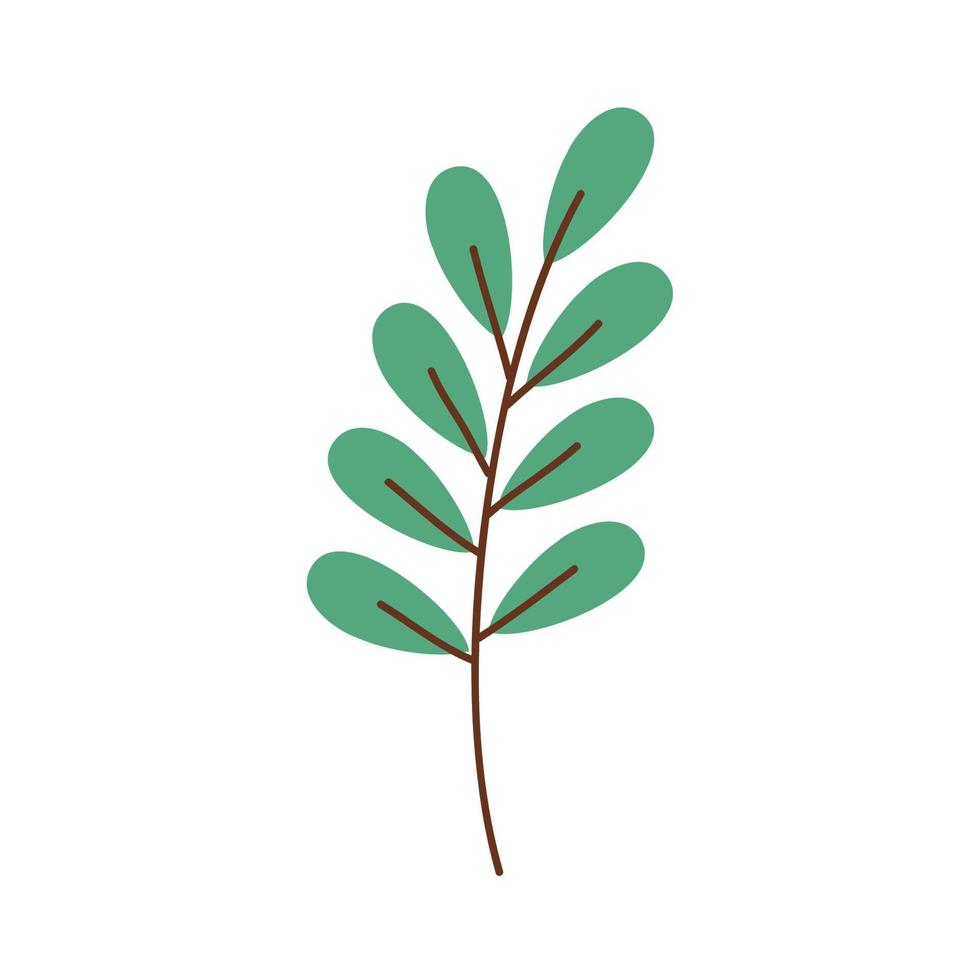 foglie ramo fogliame della pianta vettore