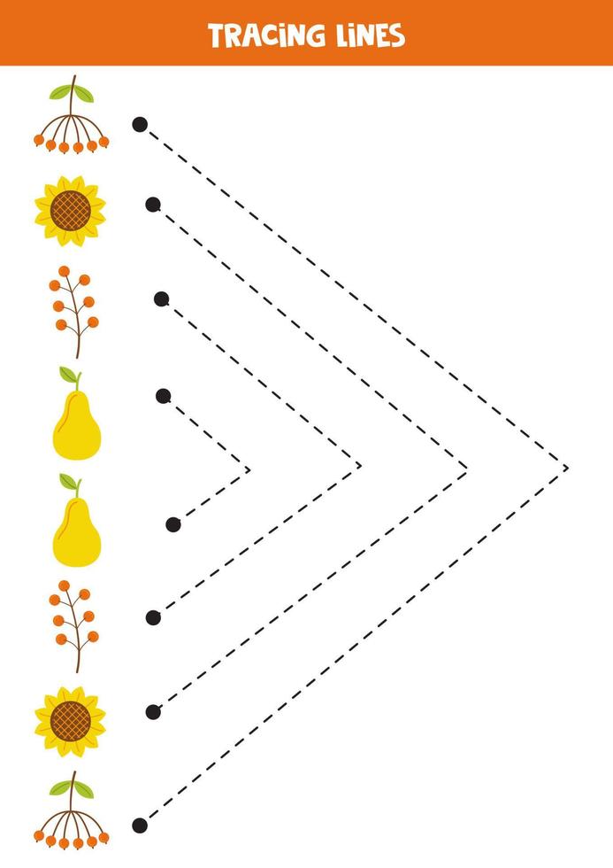 tracciato Linee per bambini. mano disegnato autunno elementi. scrittura la pratica. vettore