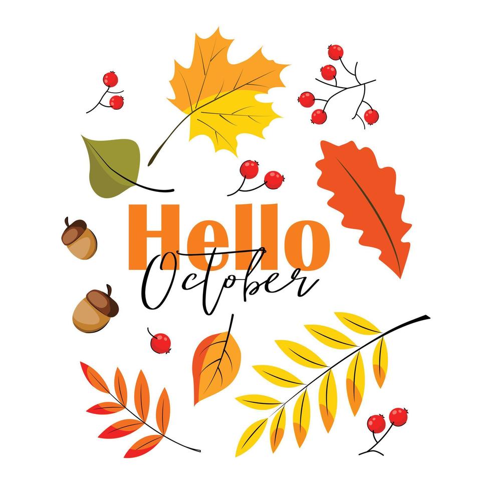 Ciao ottobre autunno cartolina bandiera lettering su autunno tema con le foglie di diverso colori con ghiande e spighette. vettore azione piatto illustrazione