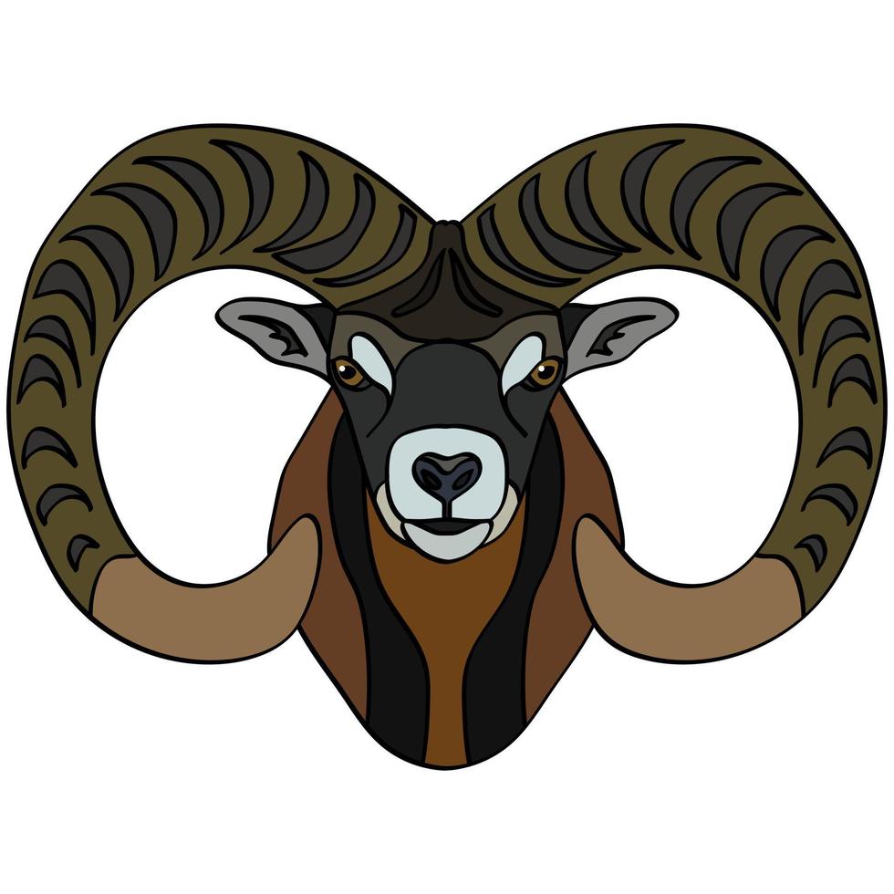 il testa di un' montagna pecore. ritratto di piccolo bestiame. isolato su un' bianca sfondo. design elemento per logo, manifesto, carta, striscione, emblema, maglietta. vettore illustrazione.