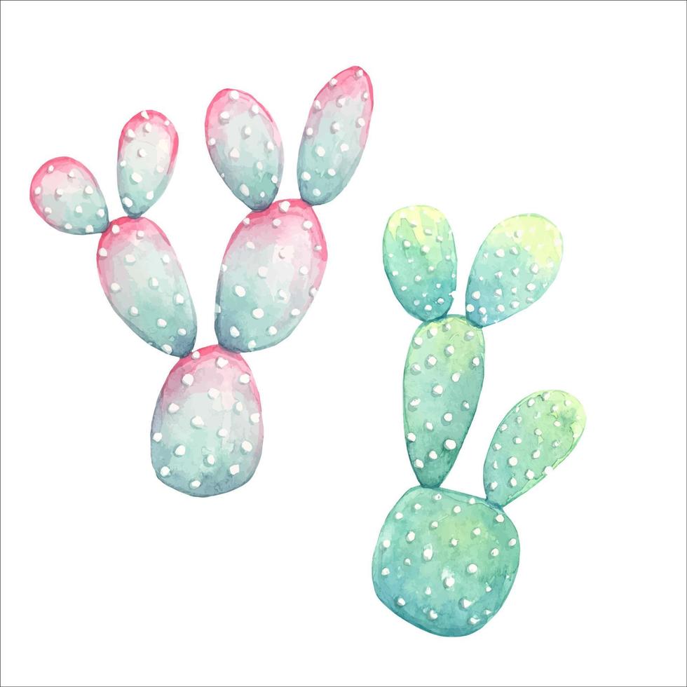 acquerello cactus ,elementi per inviti, saluto carte. vettore