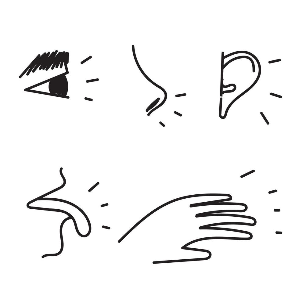 mano disegnato scarabocchio cinque sensi vettore icona illustrazione impostato