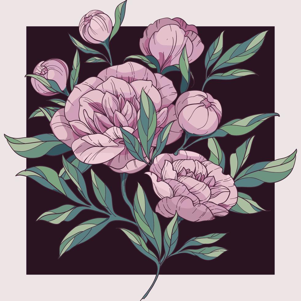 vettore illustrazione di un' piazza telaio e un' mazzo di rosa peonie. mano disegno schizzo Linee di fiori e le foglie.