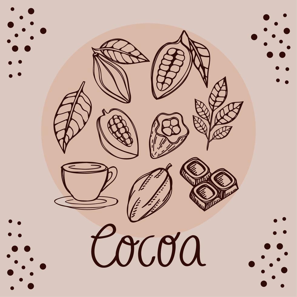 cacao prodotti nel telaio vettore