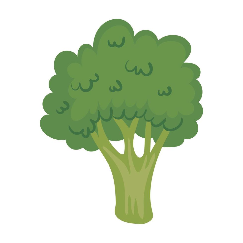 verdure fresche di broccoli vettore