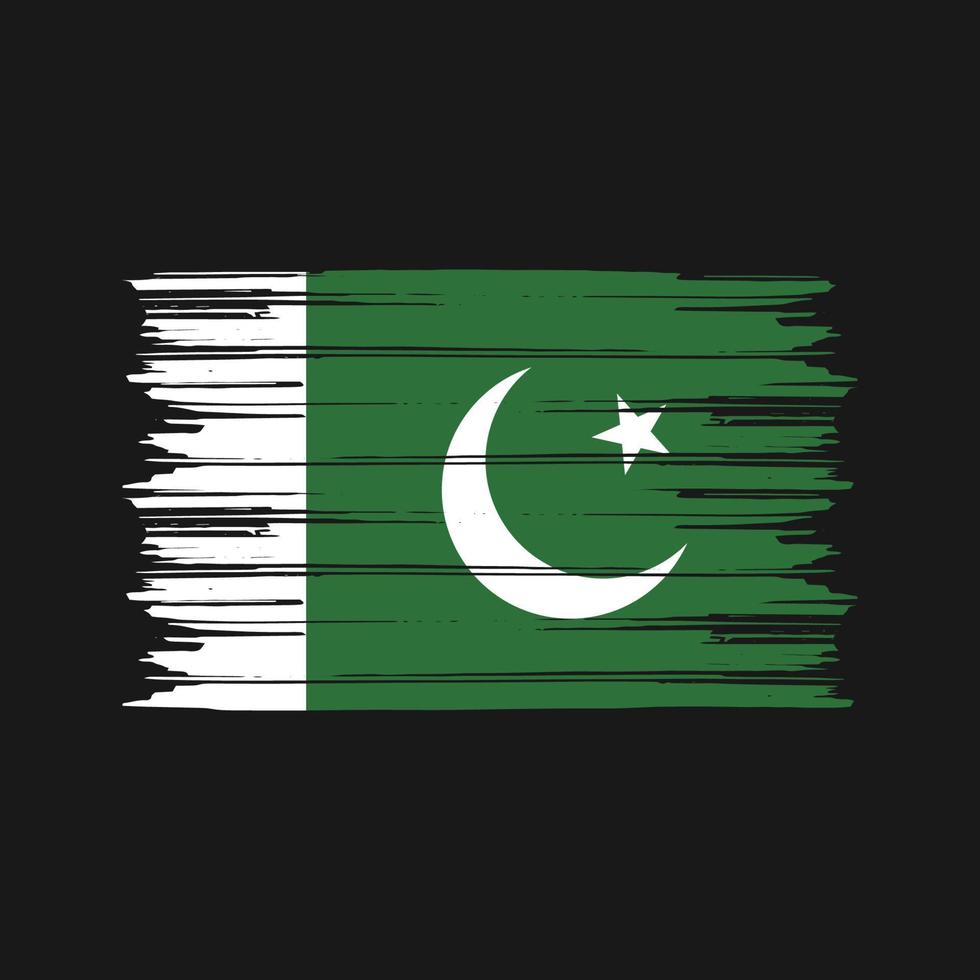 pennello bandiera pakistana. bandiera nazionale vettore