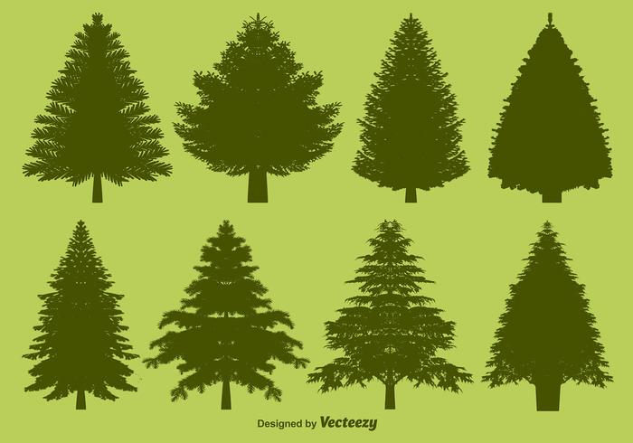 Set sagome di pino vettoriale
