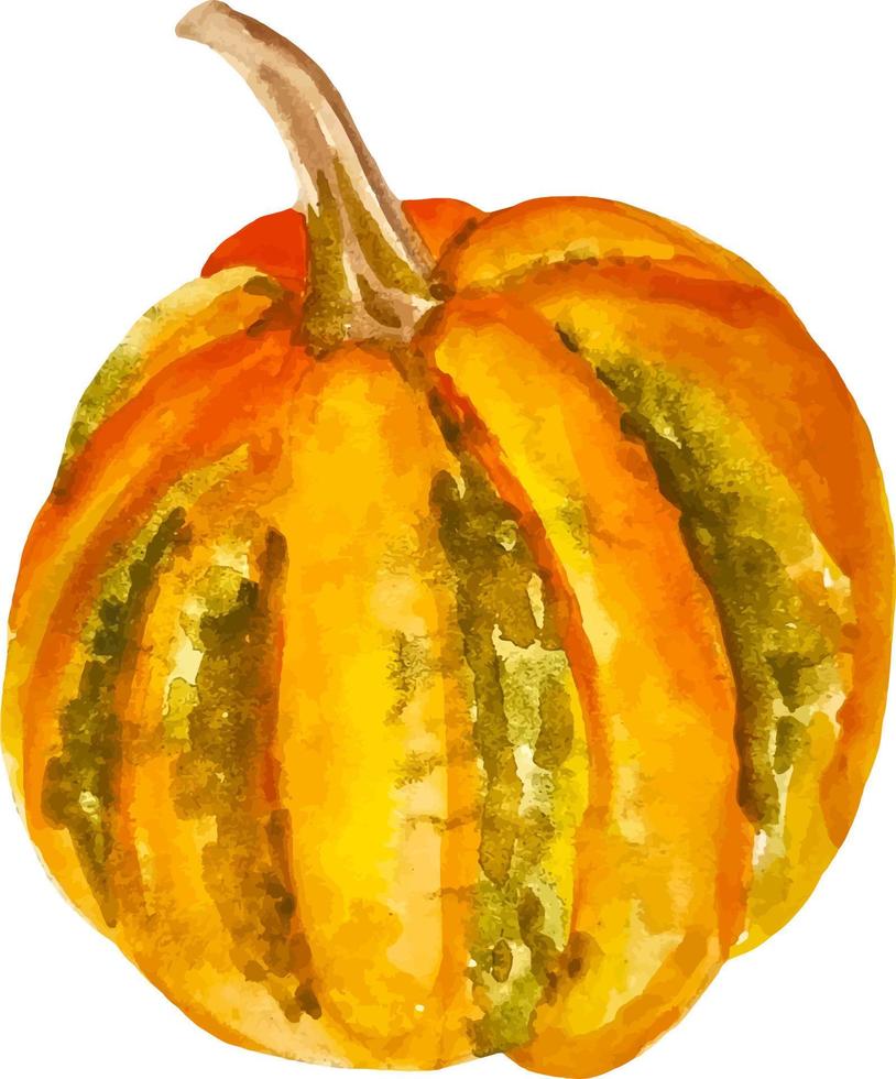 zucca arancione dell'acquerello isolata su clipart di autunno disegnato a mano bianco vettore