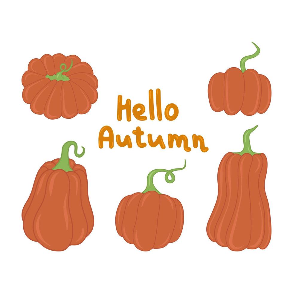 di stagione autunno arancia zucca piatto vettore isolato illustrazione