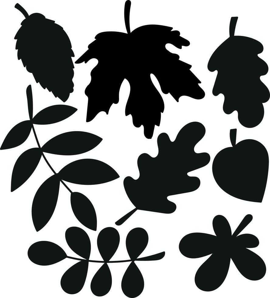 impostato di diverso le foglie nero silouhette vettore