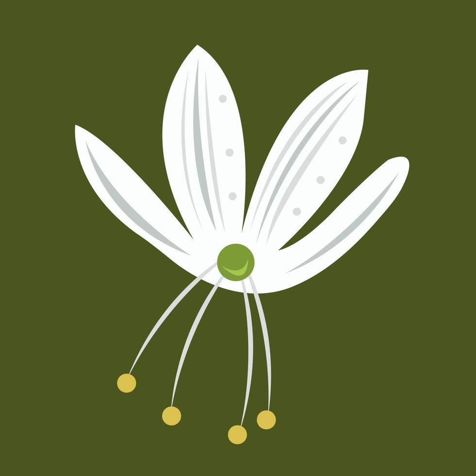 ragno pianta fiore vettore illustrazione per grafico design e decorativo elemento