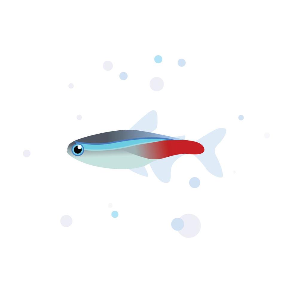 neon tetra vettore disegno, tetra pesce