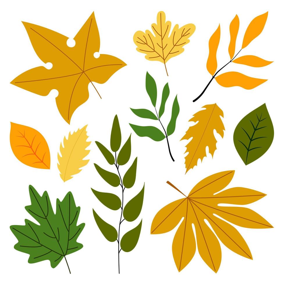 autunno le foglie impostare, isolato su bianca sfondo. semplice cartone animato piatto stile, vettore illustrazione
