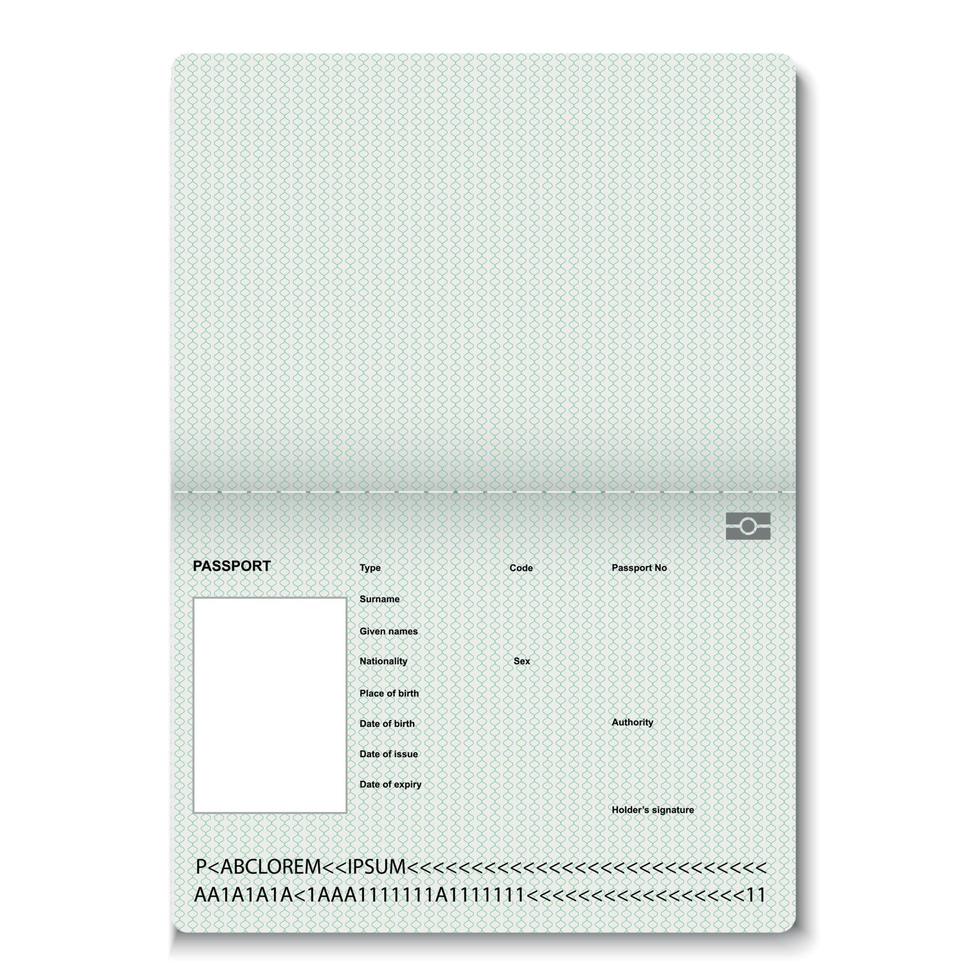 passaporto vuoto pagine. vettore