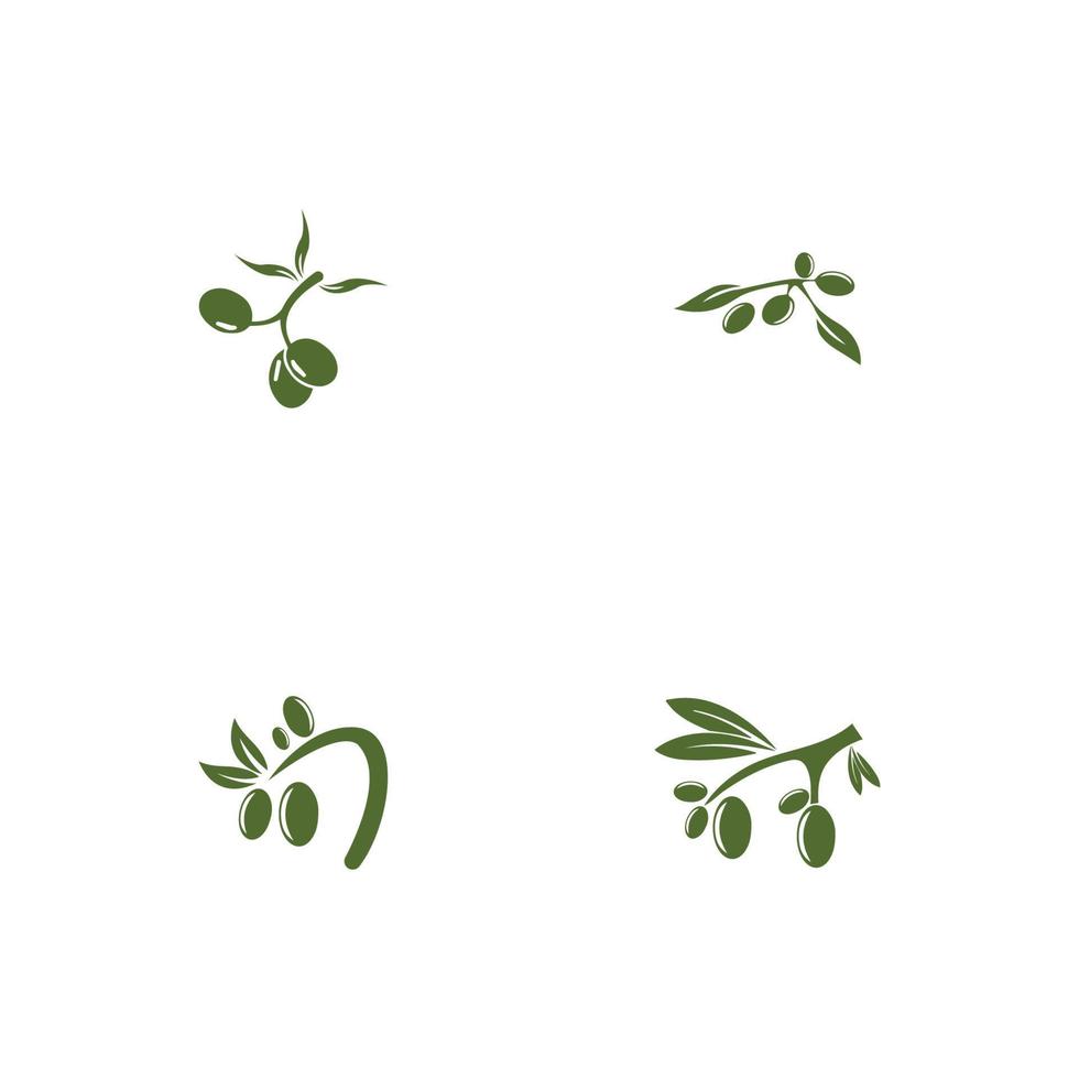 disegno dell'illustrazione dell'icona di vettore del modello di logo dell'oliva