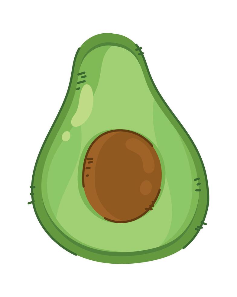 mezzo avocado vegetale vettore