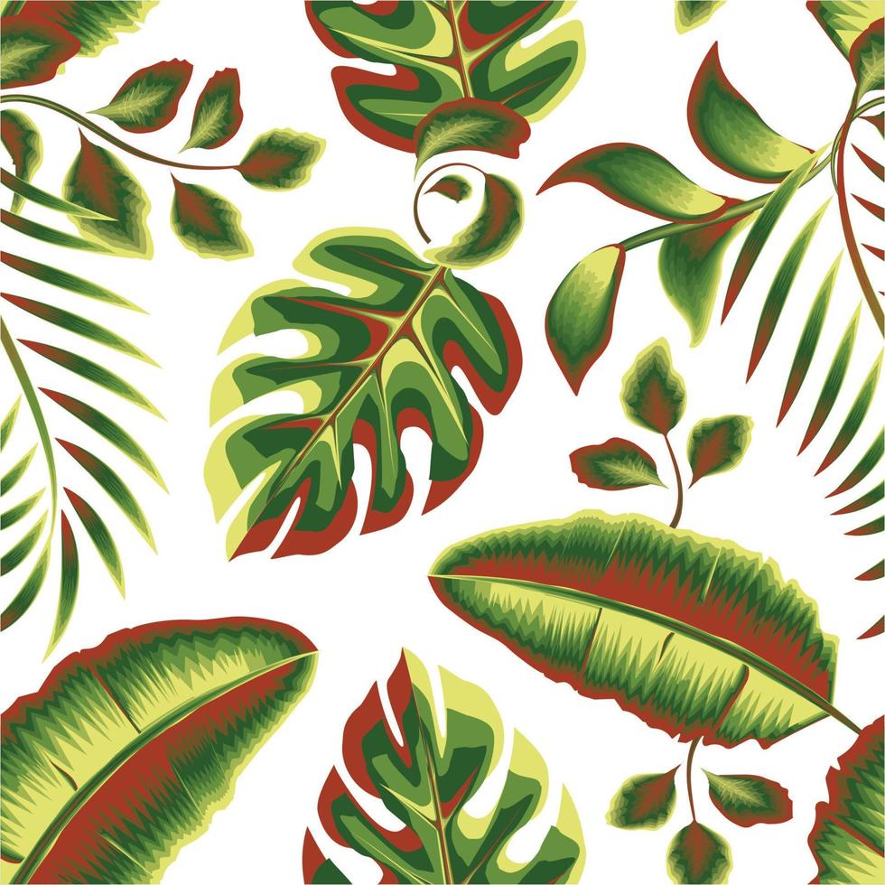 verde natura Banana Monstera le foglie senza soluzione di continuità modello con bellissimo tropicale felce foglia impianti e volare su bianca sfondo. giungla Stampa. estate design. esotico tropico. alla moda struttura. vettore